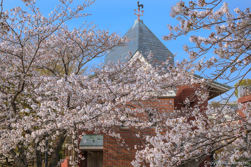 羽村市・浄水場と桜