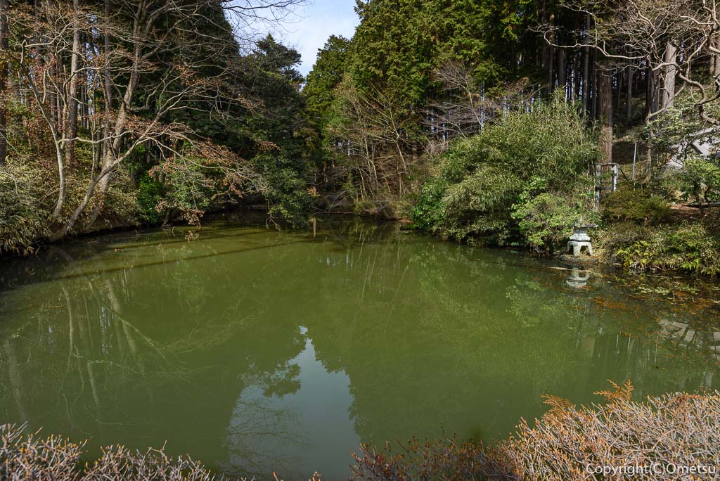 青梅市・天寧寺の霞ヶ池