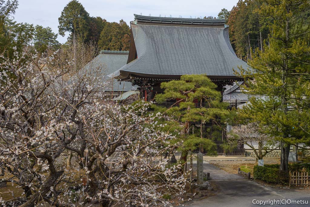 青梅市・天寧寺