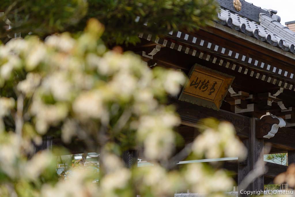 青梅・天ヶ瀬の金剛寺・山門