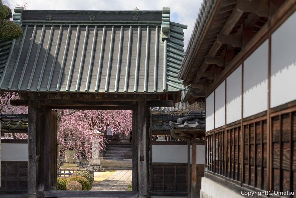 青梅・天ヶ瀬の金剛寺・表門
