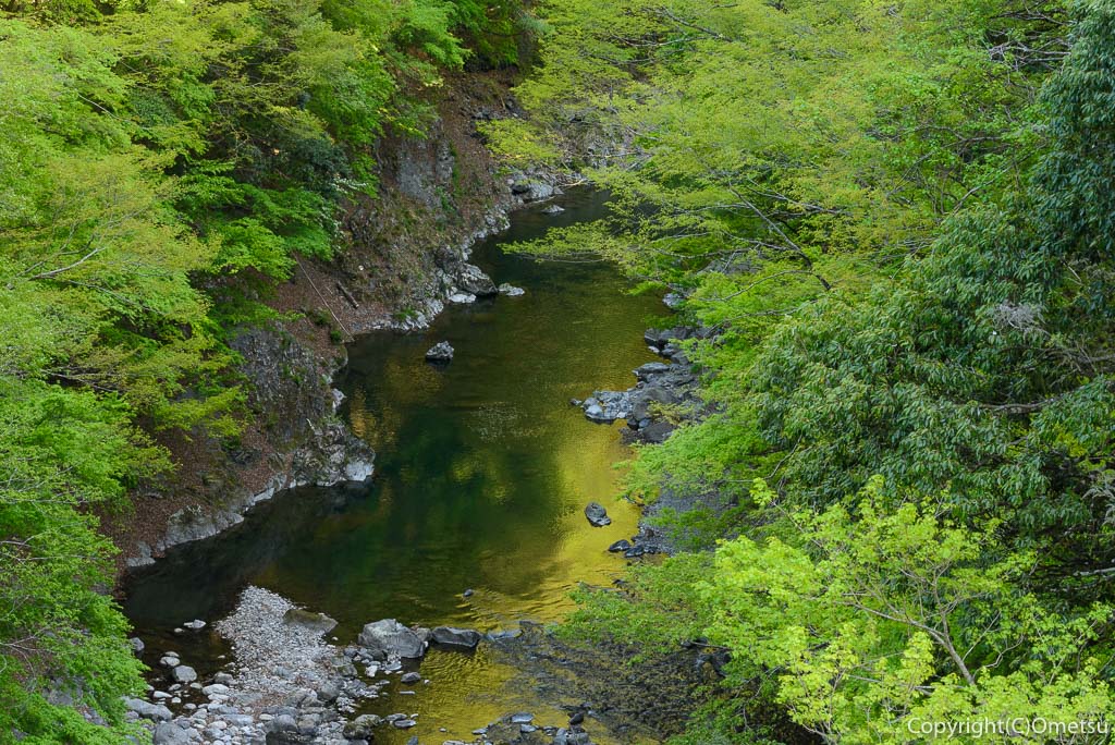 奥多摩町・多摩川の新緑の渓谷美