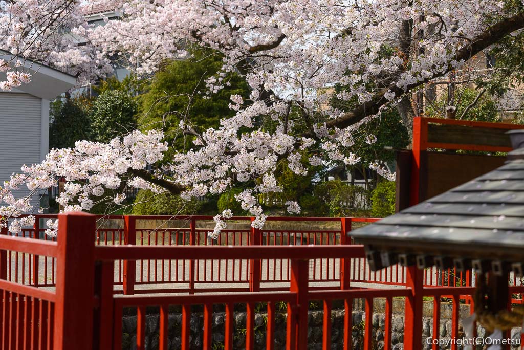 あきる野市・東秋留の南雲神社の、野辺八雲の湧水