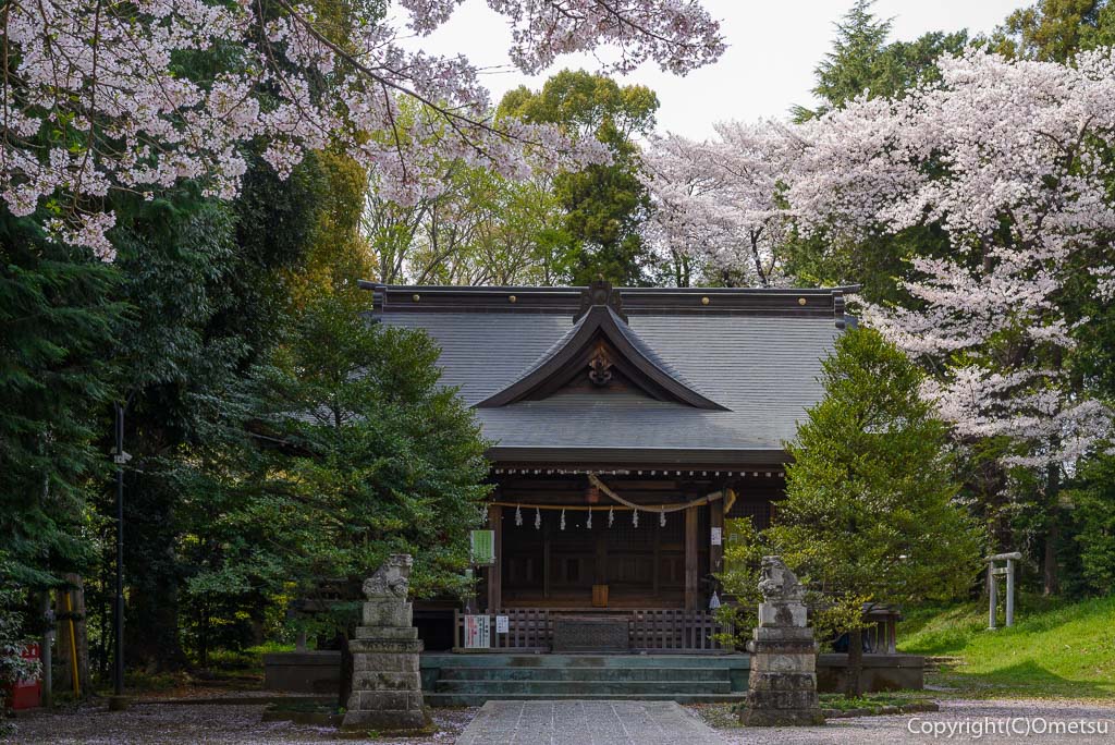あきる野市・二宮神社