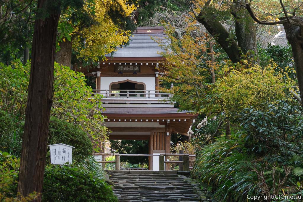 鎌倉・浄智寺の山門