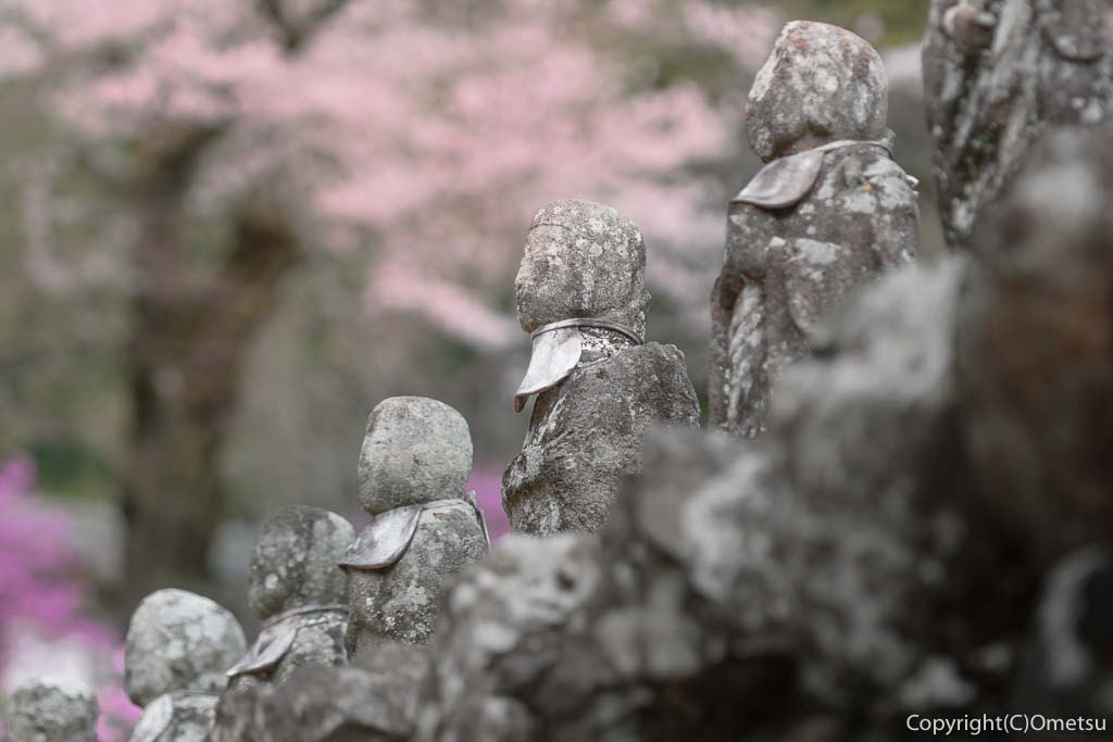 あきる野市・乙津の、龍珠院の地蔵と桜
