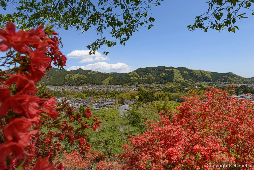 青梅市・奥多摩橋からの、多摩川と山