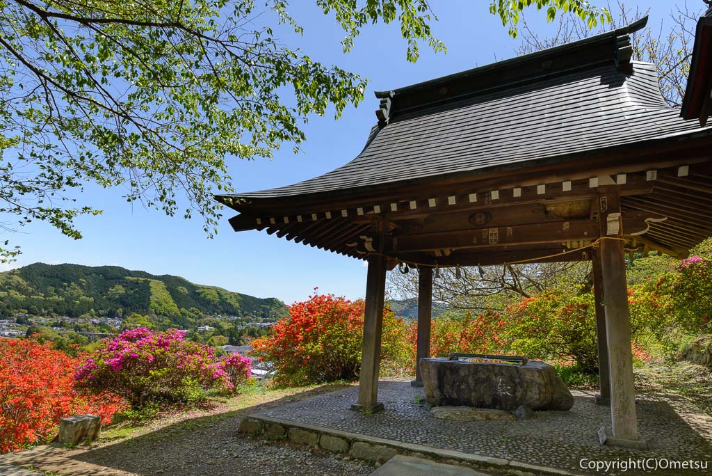 青梅市・愛宕神社の手水舎とツツジ