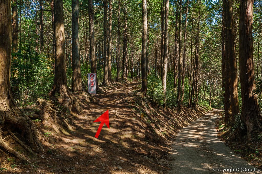 青梅市・七国広場周辺の林道から薬王寺への分岐