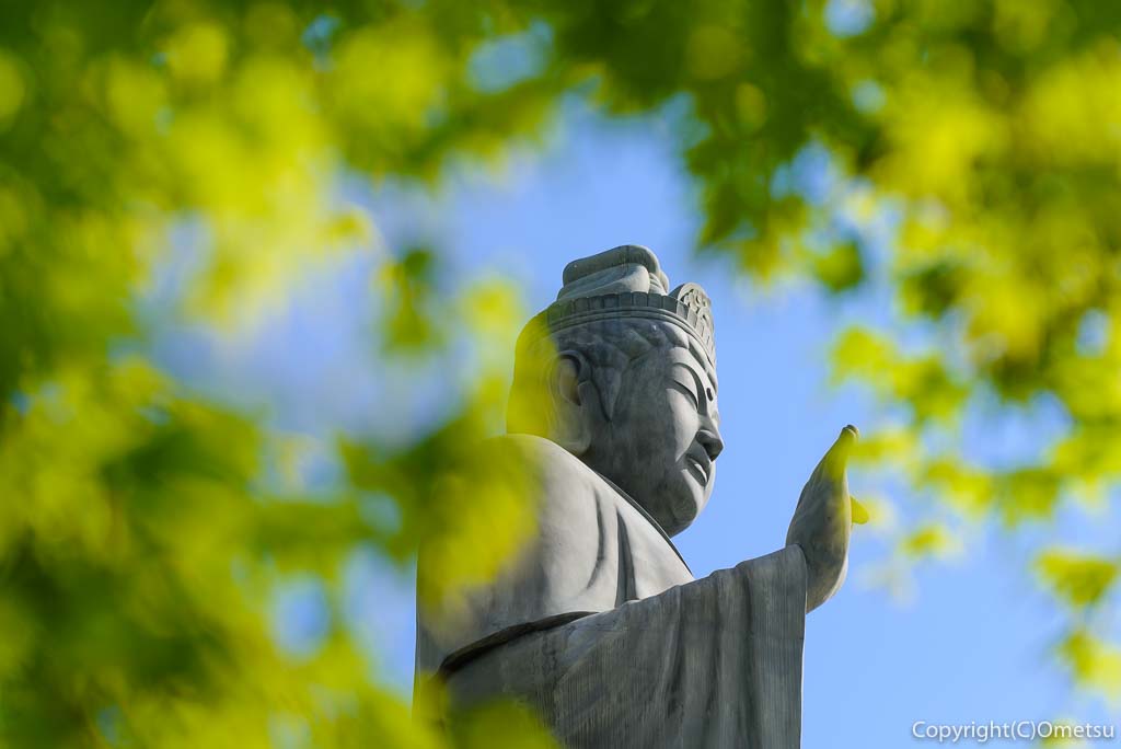 青梅・塩船観音寺の新緑と塩船平和観音立像