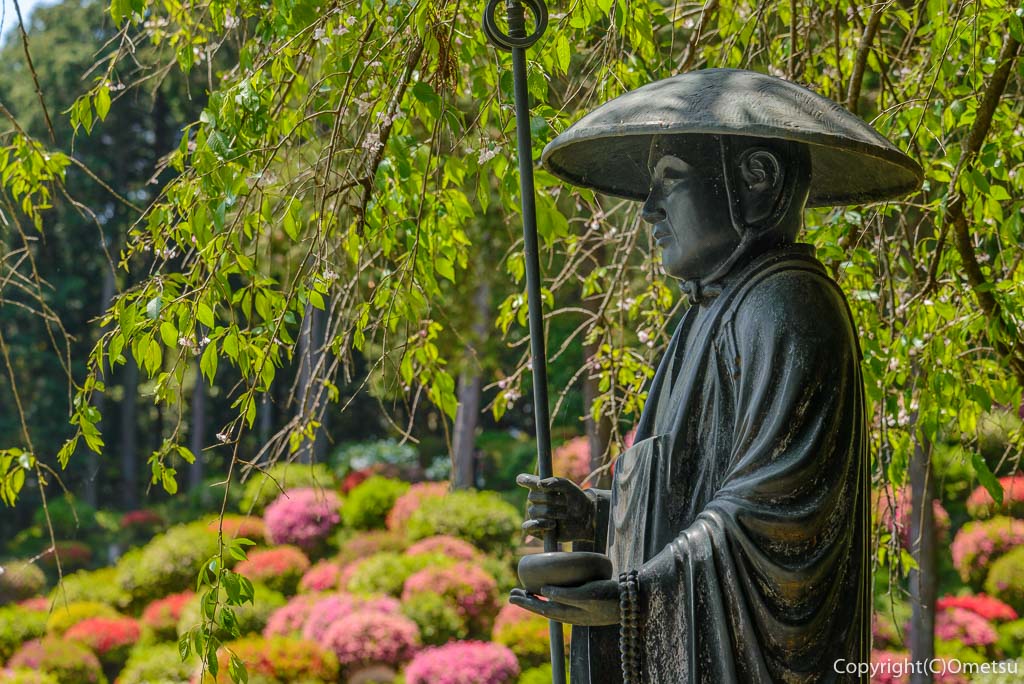 青梅市・薬王寺のツツジと弘法大師像