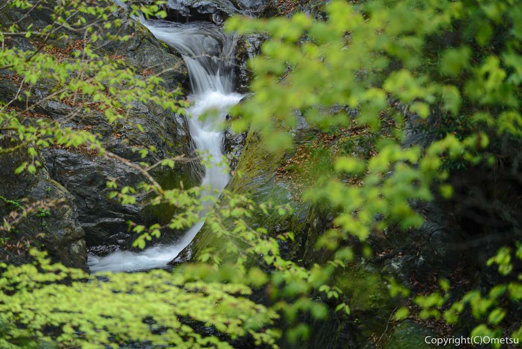 奥多摩町・川苔山の登山道の滝
