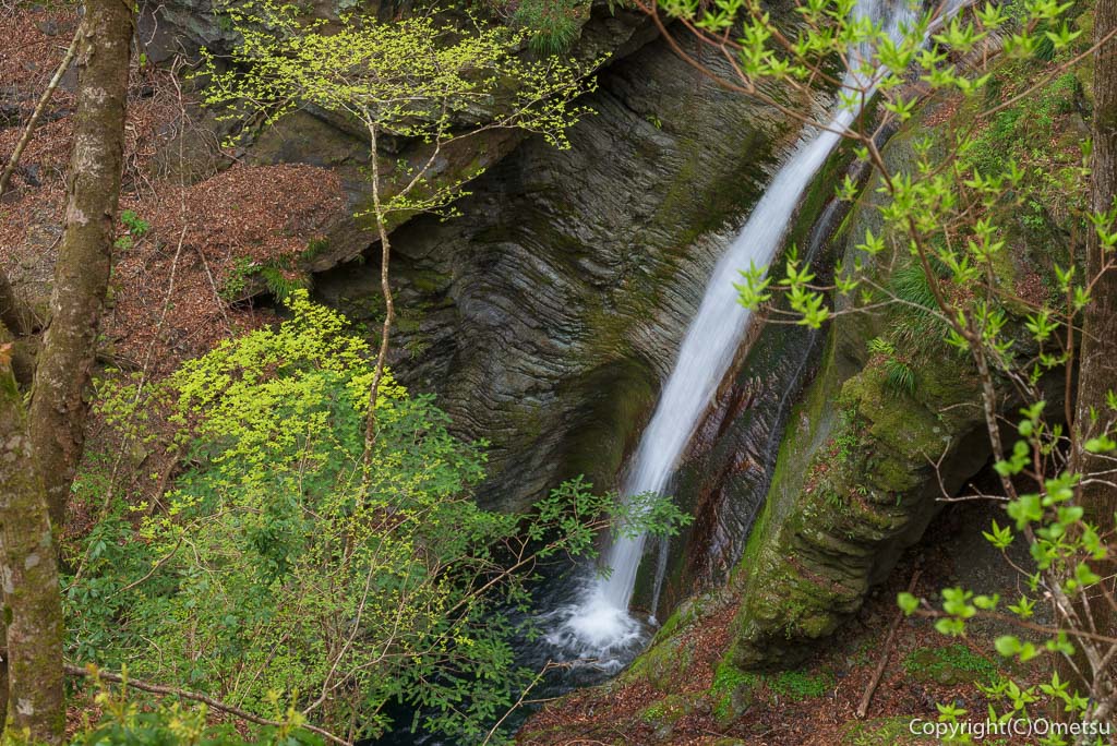 奥多摩町・川苔山の滝