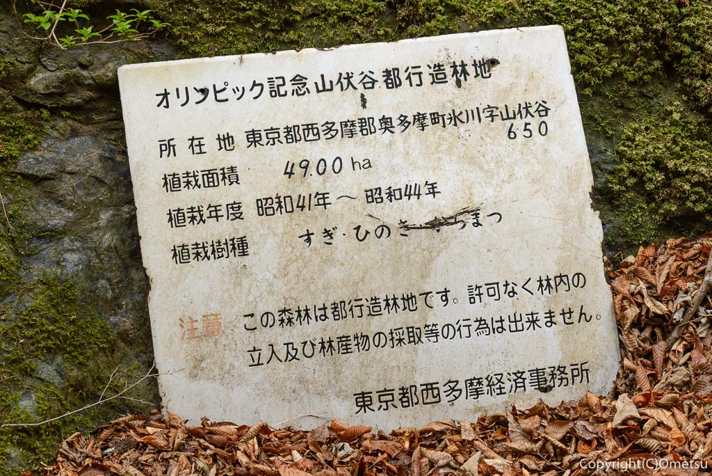 奥多摩町・川苔山の登山道の、オリンピック記念造林地の看板