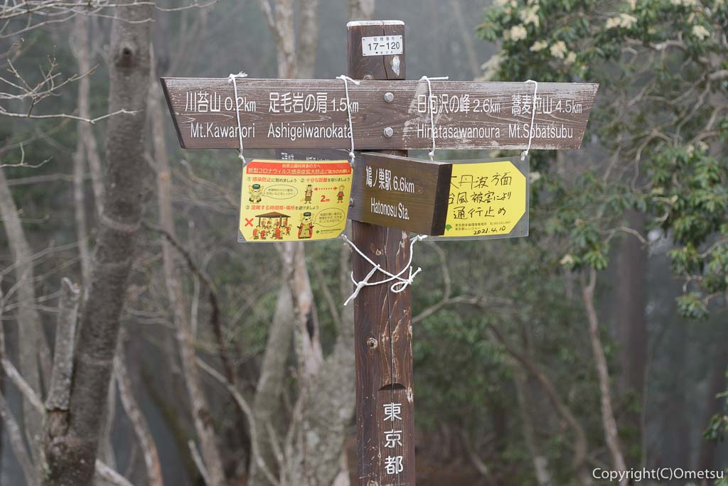 奥多摩町・川苔山の山頂付近の道標