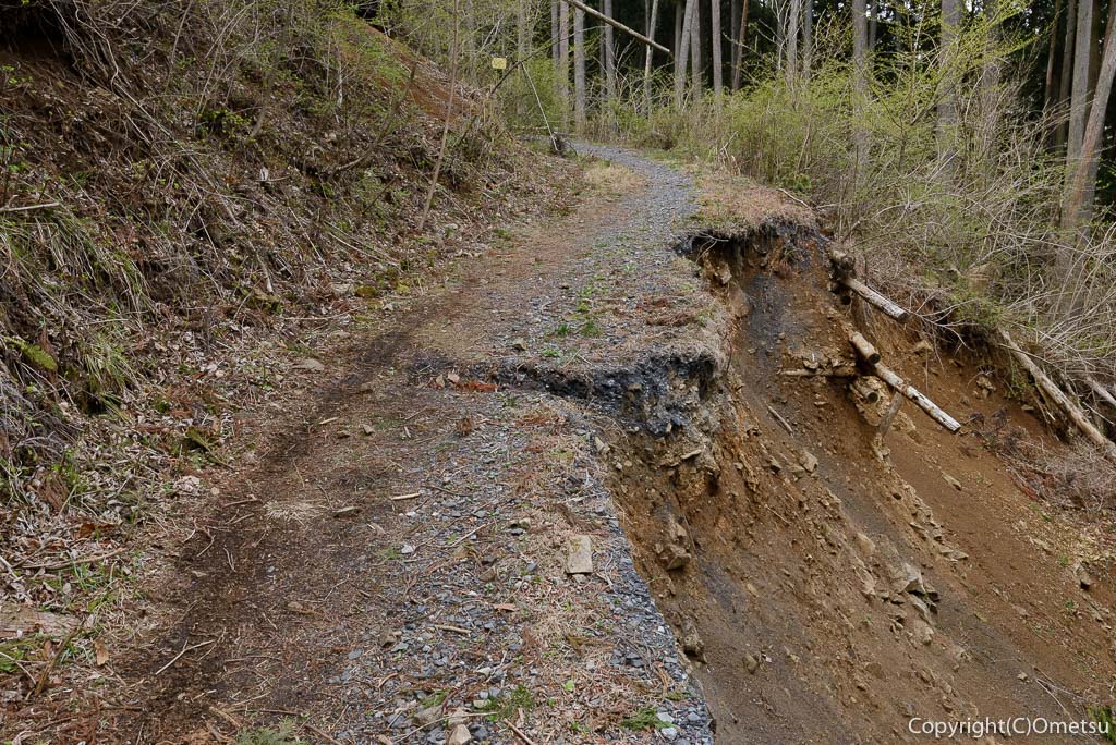 奥多摩町・川苔山・赤抗尾根の登山道の崩落