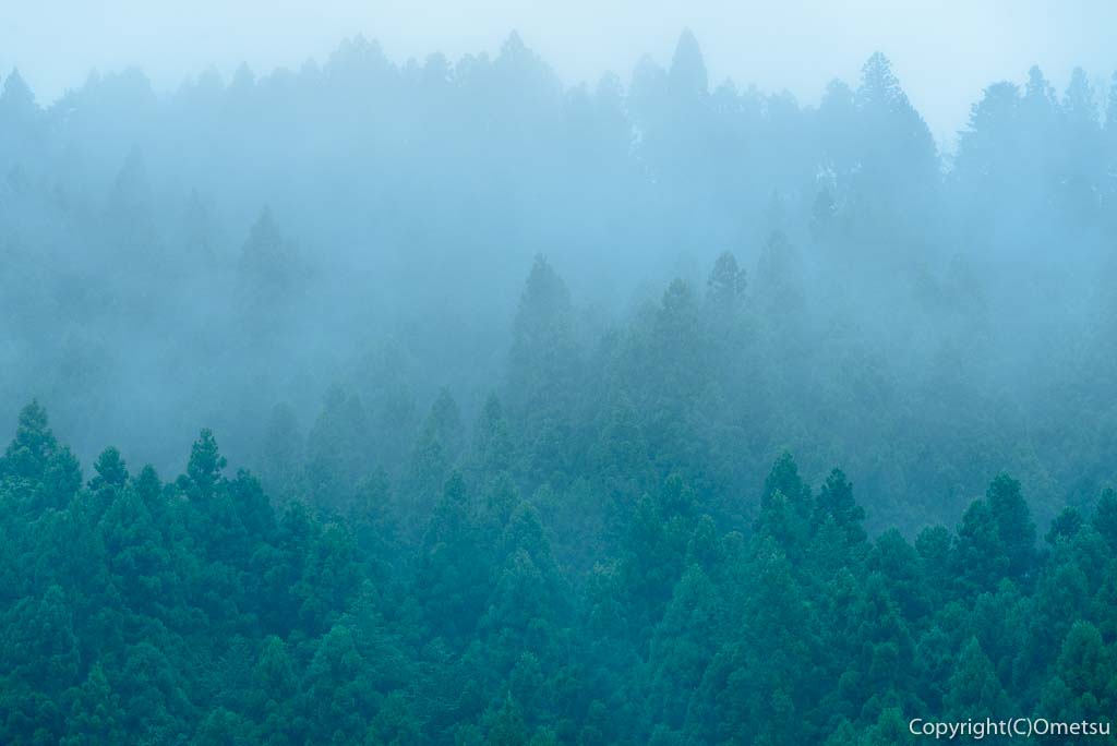 奥多摩の朝霧の山
