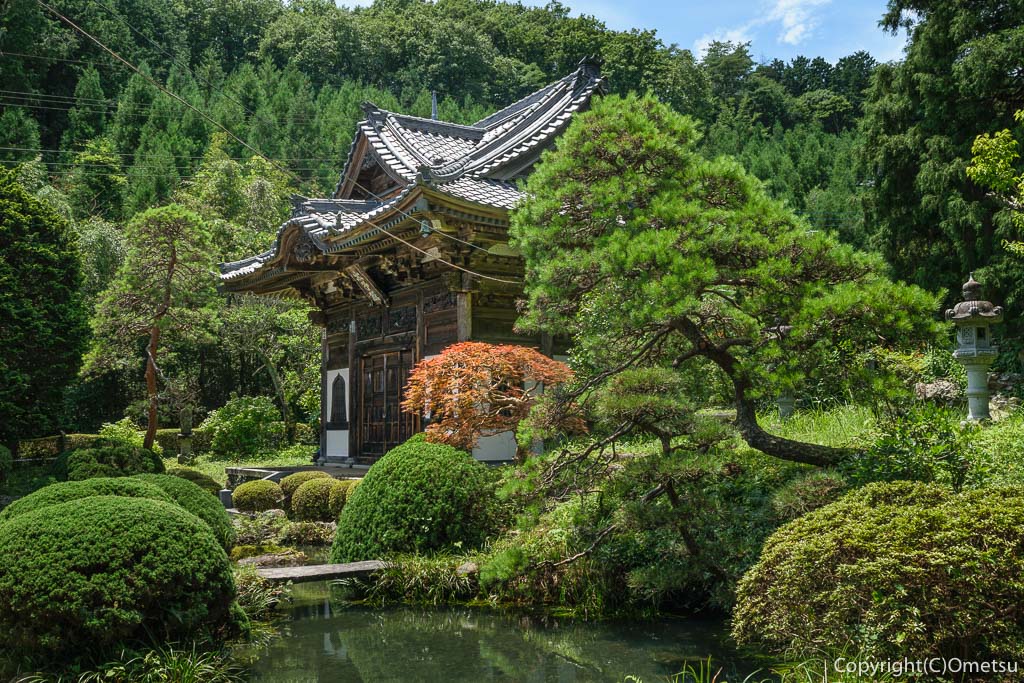 青梅市・常福寺の池