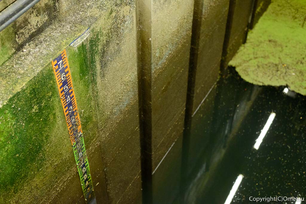 白丸ダム魚道の水深表示