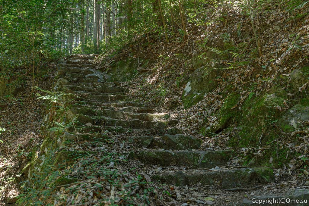 奥多摩町・鳩ノ巣渓谷の遊歩道の石の階段