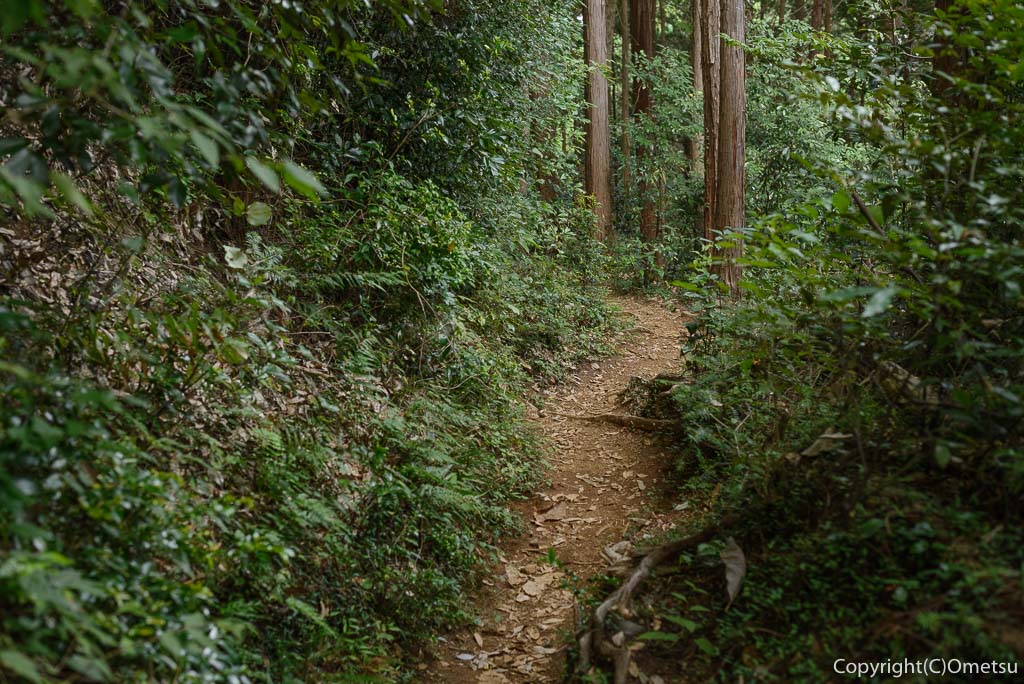 青梅市・即清寺の山内新四国八十八ヵ所・霊場の山道