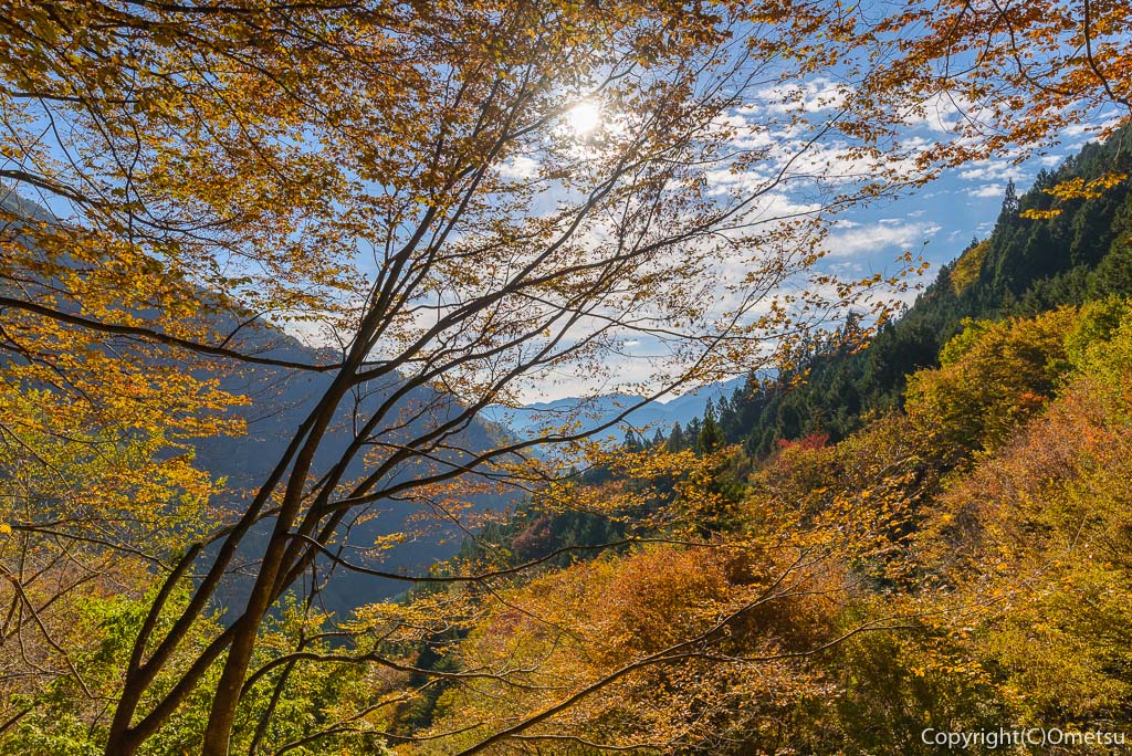東京最高峰・雲取山・鴨沢登山道の紅葉と山並み