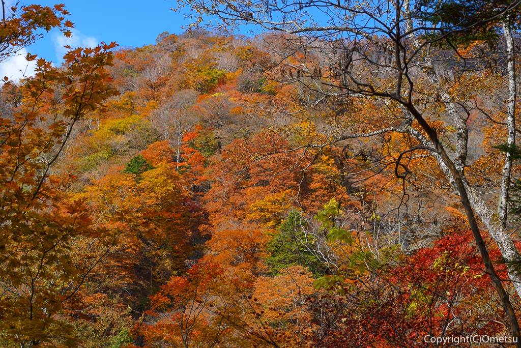 東京最高峰・雲取山・鴨沢登山道の紅葉と山並み