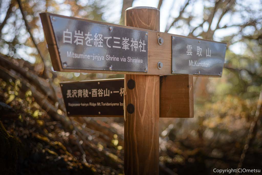 雲取山・三峯登山道の、長沢背稜方面分岐の道標