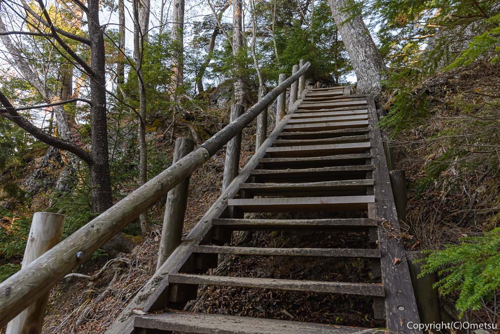 雲取山・三峯登山道の、木製階段