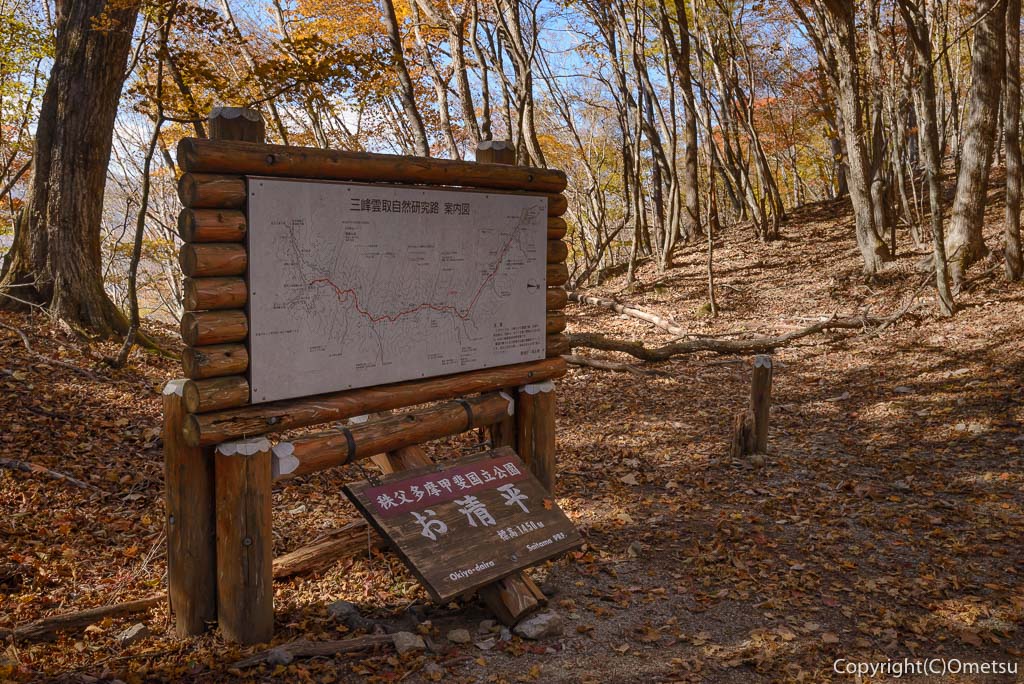 雲取山・三峯登山道の、お清平