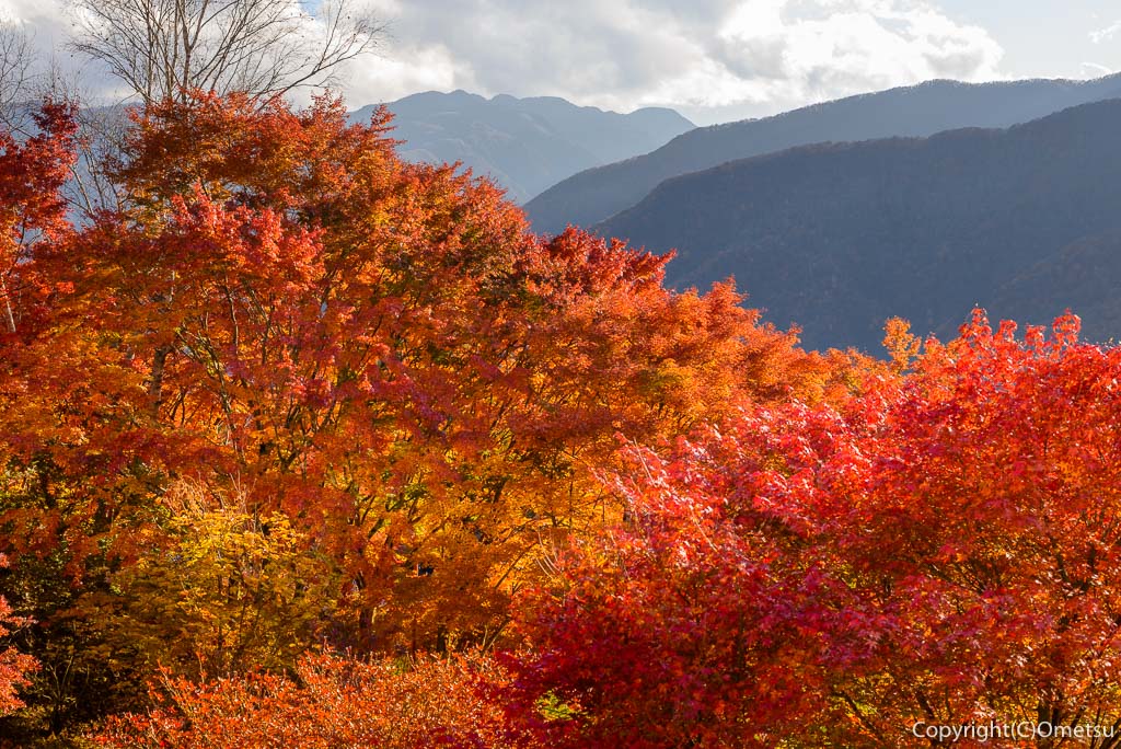 雲取山・三峯登山道の、三峯神社の紅葉