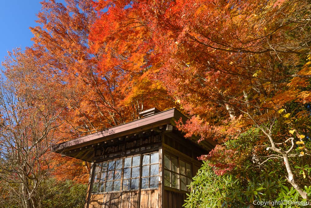 三峯神社の紅葉