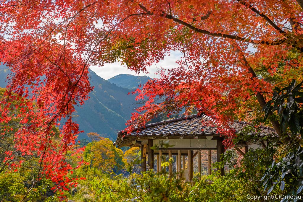 青梅市・御岳渓谷の紅葉