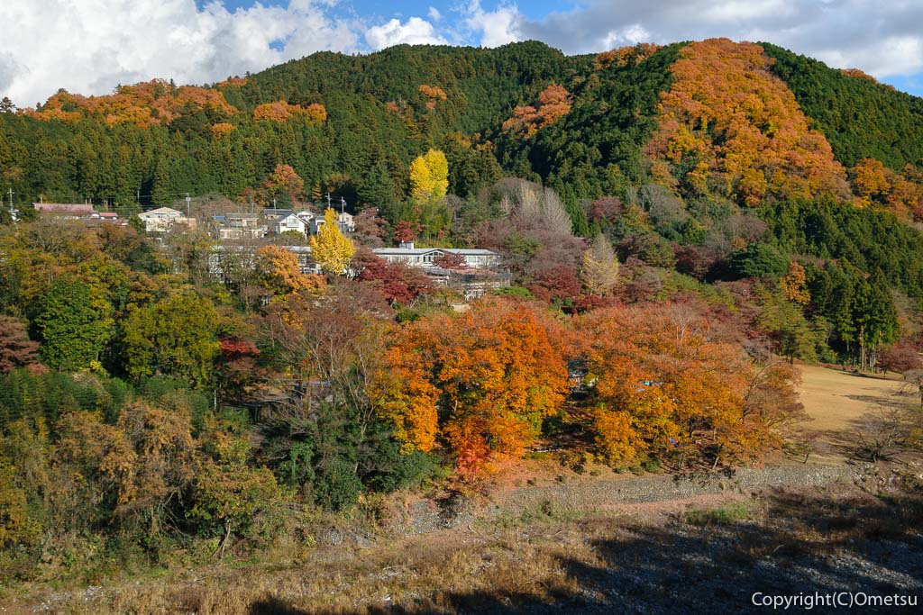 青梅市・JR石神社駅近くの、石神社・イチョウの黄葉と、ブリヂストン奥多摩園の紅葉と、多摩川