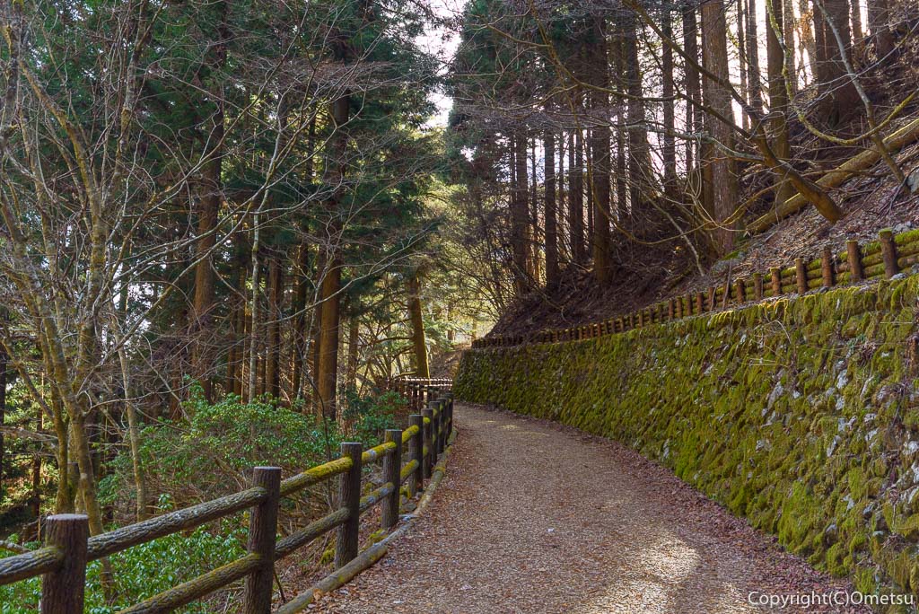 東京都・檜原村・都民の森の遊歩道