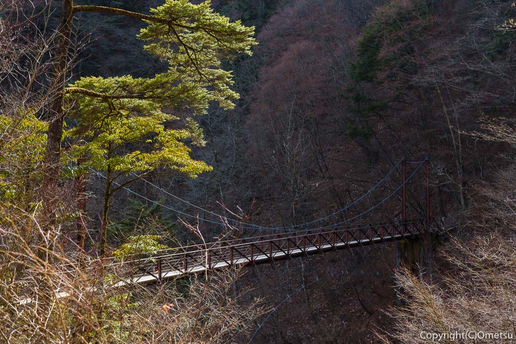 東京都・檜原村・都民の森の、滝見橋