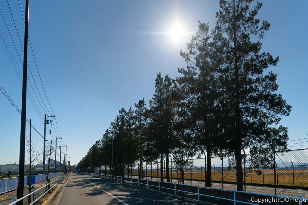 羽村山口軽便鉄道・廃線跡、横田基地近くの並木道
