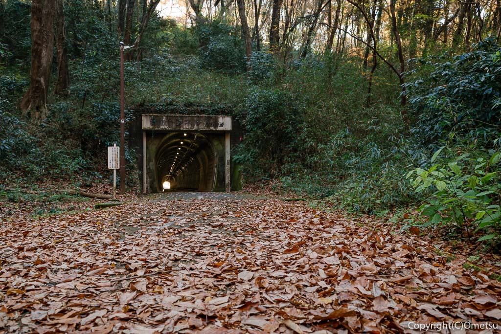 羽村山口軽便鉄道・廃線跡、野山北自転車歩道・赤坂トンネル近くの落ち葉の道