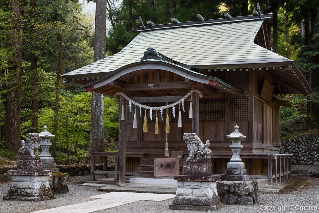 東京都あきる野市の、養澤神社