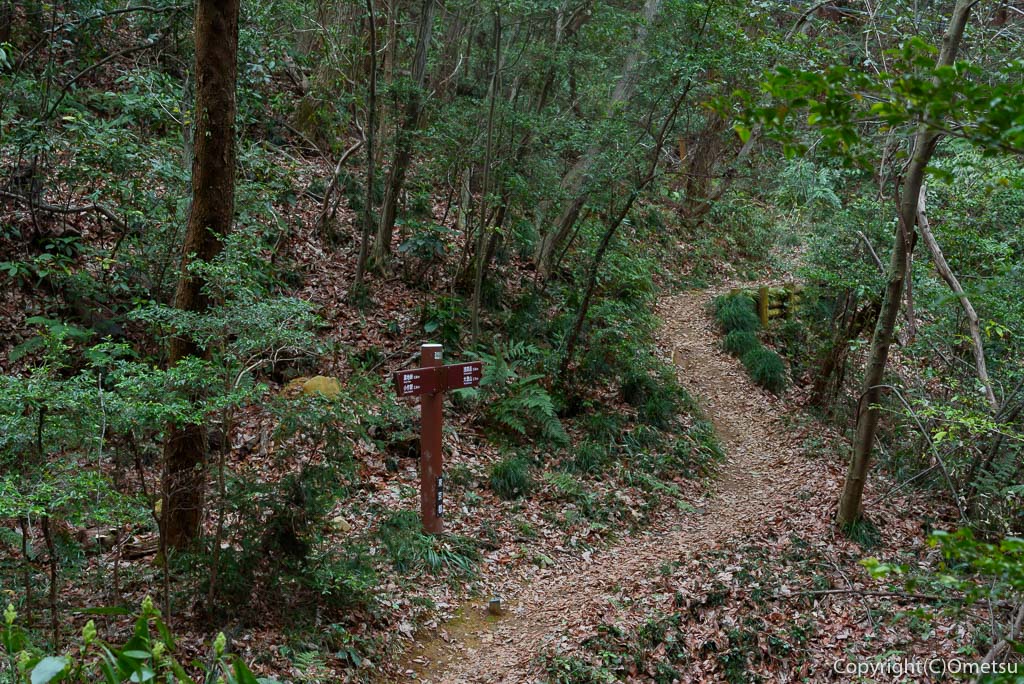 羽村市・浅間山付近の登山道