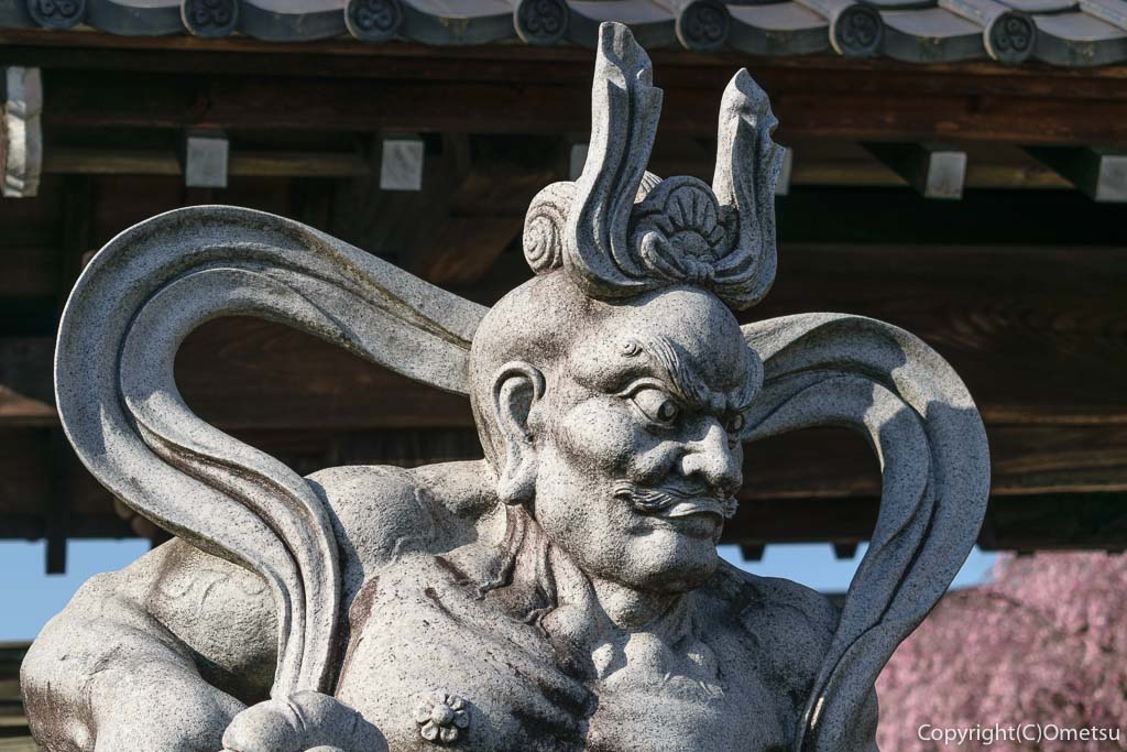 青梅市・報恩寺の、山門の仁王像