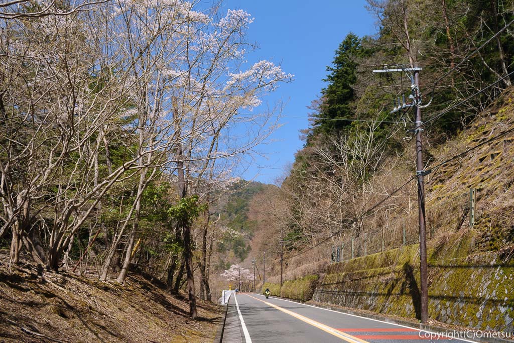 奥多摩町・奥多摩湖近くの、奥多摩周遊道路