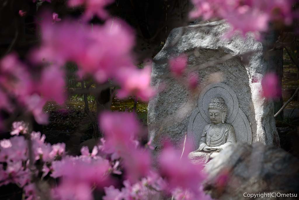 あきる野市・大悲願寺のお砂踏み・仏像とツツジ