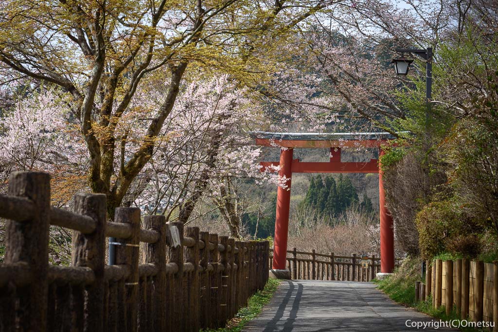 東京都青梅市・御岳山の参道の鳥居