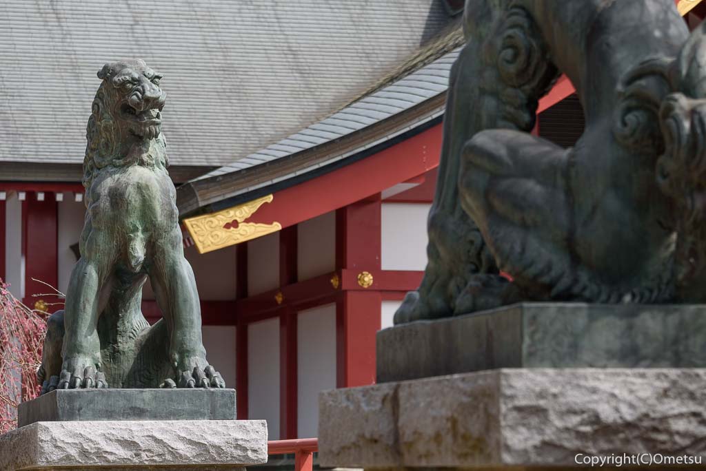 東京都青梅市・御岳山の、武蔵御嶽神社の、狛犬