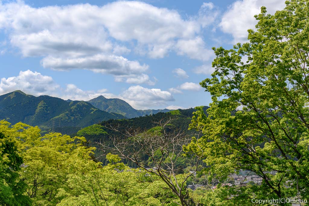 あきる野市・八坂神社から、大岳山の展望