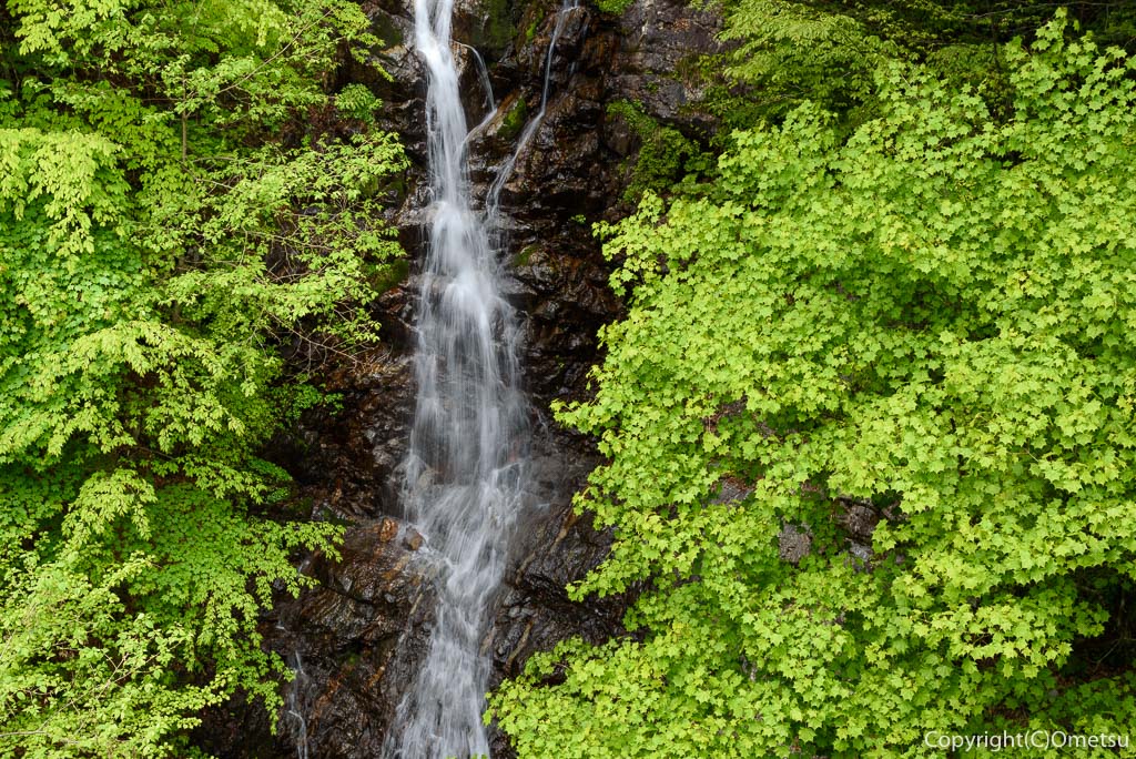 檜原・都民の森の、新緑の三頭大滝