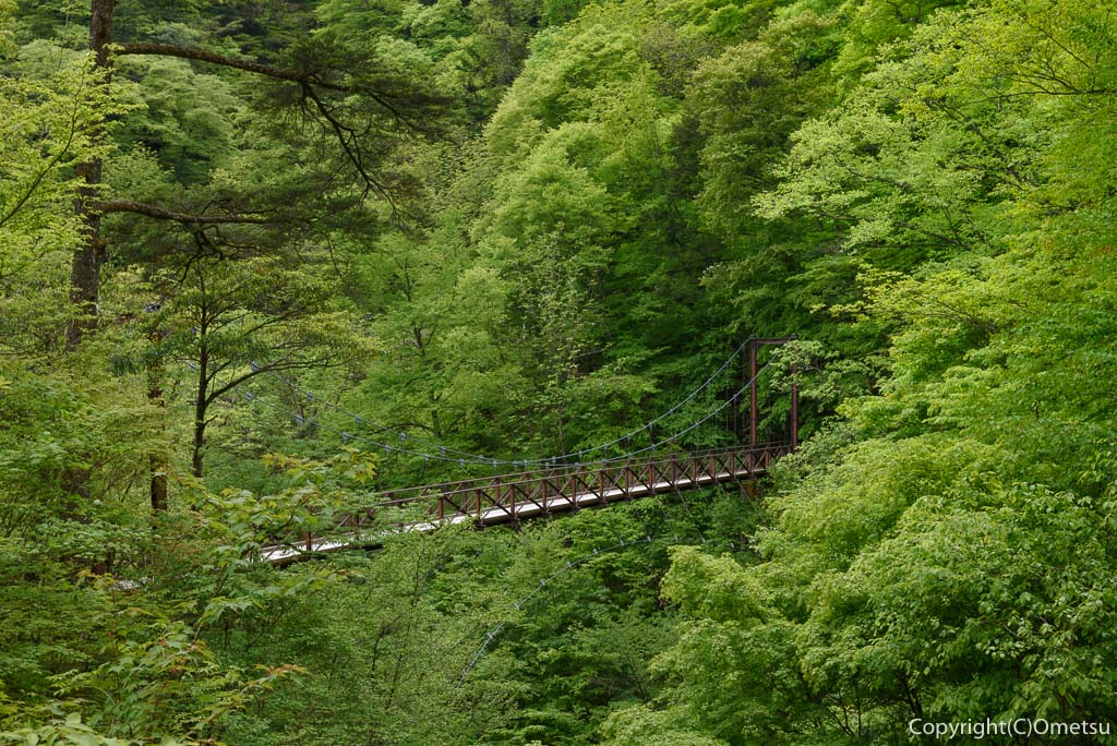 檜原・都民の森の、滝見橋