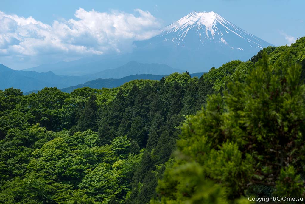 大岳山荘前からの富士山