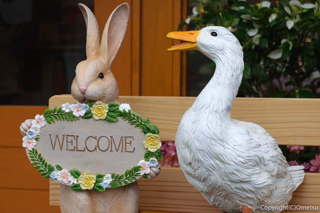 青梅市「お菓子工房 ゆきばな」のウサギとアヒル